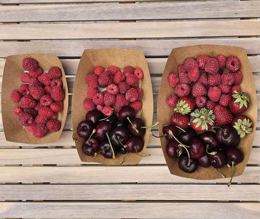 a992e8eb7e3c8fe3e8fe81db13acbd80