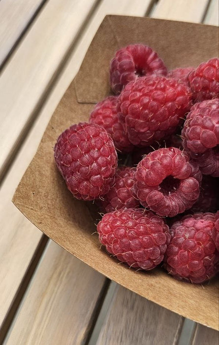 ea8dd5ec8fdc57a590117f4e9e3d98f7